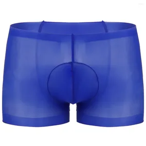 Underbyxor herr sexiga underkläder ultratunna se genom ren bulge påse stretchy erotisk underkläder strumpboxare trosor shorts shorts