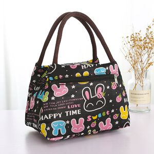 Canvas Bag Women 2024 New Bag Cloth Bag Lunch Box Tote Bag Commuting To Work Small Cloth Bag Bento Bag Small Handbag D2