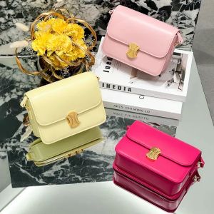 Lüks 2 Boyutlar Sling Tasarımcı Çanta Tote Kadın Debriyaj Klasik Flep Sele Tofu Crossbody Çanta Erkek Çantası Mini Meydan