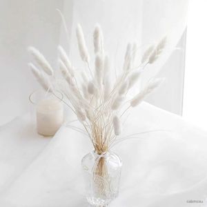 Fiori secchi code coniglietti flowers secchi bianchi naturale asciutto pampaseternal code di coniglio erba per vasearrangement weddinghomehotel decorazione