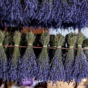 Getrocknete Blüten getrocknete Blumen erhalten natürlichen Druy -Duft Lavendel für Wohnkultur Brautsträuße für Hochzeitsfeier Dekoration Urlaubsgeschenke