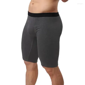 Underpants Mens Boxers Long Leg Cotton Male Boxer Men Shorts Mans Under Wear Knee Length Underwear Coton Underpans