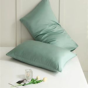 Luxurious 60S Lyocell Tencel pillowcase single product summer ice silk cool pillow case single pillowcase a pair. 240415