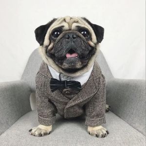 Abbigliamento vestiti per cani formali per cani da camino abito da cane animali domestici abiti da cani per cani animali domestici forniture xsxxl pet cucciolo outfit pug bulldog