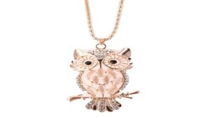 Opal Owl Sweter Naszyjniki modowe modne kobiety oświadczenie urok wzór zwierząt w zawieszek naszyjnik Lady Girl Jewelry Akcesoria 9097330