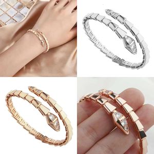 Cuore 2024 Bracciale oro Braccialetti di diamanti per donne Snake Gioielli inossidabile in acciaio inossidabile Bracciale Impegno per le donne Regali GiftQ2 S Capitale originale