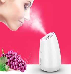 Obst Gemüse Gesichtsgesichts Gesichtsdampfer Haushalt Spa Beauty Instrument Wärme Nano Spray Wasser Aufhellung Gesicht Dampfer Maschine CX20072402380