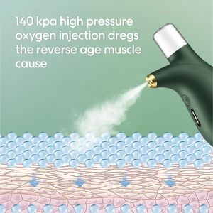Tip Oksijen Enjeksiyon Enstrümanı Ev Nano Sprey Su Yenileci Taşınabilir Küçük Soğuk Püskürtücü Sprey Güzellik Aleti 240416