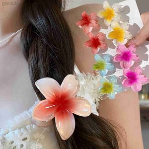 Clip per capelli Barrettes Women Girls Flower Hawaiian Piccola Clip Clip Clip Corea Plumeria Plumeria Capelli Capelli Caratte Azzurro Capelli di plastica Plasi di plastica 240426