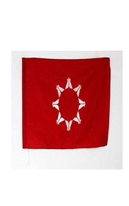 Oglala Sioux Tribe Flag 3039 x 5039 Oglala Lakota Flags 90 x 150 cm Man Cave Double Sided Polyester with Brass Grommets LGBT2980847