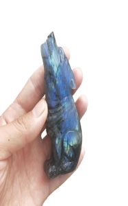 Naturalny Kamień Kamienny Labradoryt Rzeźba Wolf Ręcznie rzeźbiona Reiki Quartz Mineral Stone Animal State Dekoracja Dekoracja Dekoracja Dekoracja 9100609