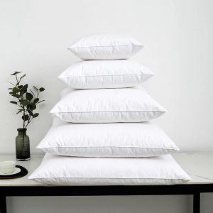 Pillow Natural Goose Feather & Down Throw Pillows Insert 40x40/50x50/60x60/48x74cm Bed/Couch/Sofa/Home/Hotel Pillow Decoration White