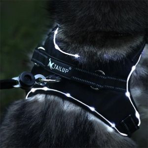 Sfrutta tre livelli di regolazione della luminosità cani imbracatura toracica a batteria ultralong a led imbracatura del cane imbracature per cani collare