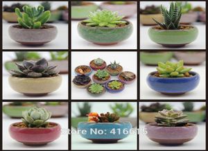 Whole8pcllot Microandschaft Mini soczyste rośliny kwiaty wazon kwiatowy pojemnik terrarium mini bonsai garnki ceramiczne ACCES9904737