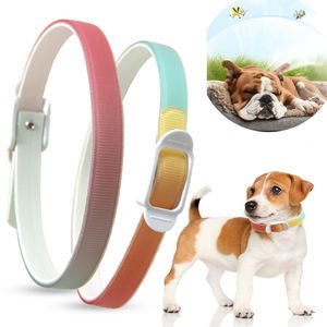 Flea and Tick Pet Collar Cat Dogs Mosquito Repellent Prevention Natural Essential Oils Large Dogs Puppies Washable 12 Months Protection Trimmable W0242