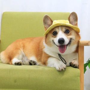 Hundkläder husdjur söt hatt justerbar anti-shedding bassäng mössa sommarskugga bomull prinsessa gorro para perro tillbehör