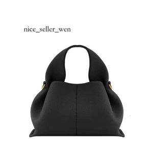 Polenee Bag Womens Fashion Vacation With Polen Bag Shoulder Cloud Clutch Bags Straps Luxurys Designer Gym Cross Body Underarm Hand Bag M 7218