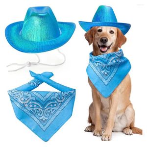 Abbigliamento per cani carino bell'outfit per animali domestici regolabile fibbia da cowboy costume set di cappelli comodo bandana sciarpa per piccoli cani mediumi divertenti