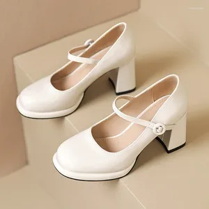 Dress Shoes Patent Leather Women Pumps Spring Autumn Navy Blue Color Closed Toe Block High Heels Mary Jane For