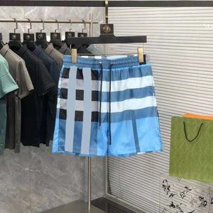 Designer Shorts Beach Short Plaid Shorts Mens Ny Summer Classic Checkered Shorts For Mens Shorts Fashionable Trendy Beach Pants Sport Casual Clothes FZ2404271