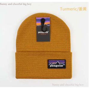 Pata Designer Studios Knitted Hat Autumn Winter Warm Men Women Skull Wool Mountain Cap Smiling Beanie Tide Street Hip-Hop Hats Fashion Bonnet 795