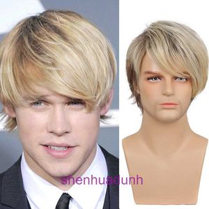 Xuchang Fashion Mens Mixed Color Wig Capelli Short Divid Bangs Chemical Fibra Full Head Set Wigs