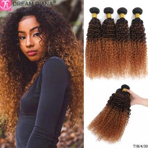 Bundles Bundles DreamDiana 9A Indian Kinky Curly 4 Bundles Curly Human Hair Bundles Original Human Hair Curly Promotion Hair For Women
