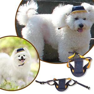 Hundebekleidung Geburtstagstorte für Hunde 1. Hüte Sonnenschutzmittel atmungsaktivem Fashion Pet Cat Cupcake Doggy