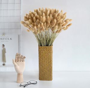 30 steli Pampas Erba Flower secca coda coniglietto Piante naturali Accessori per decorazioni per la casa con bordo floreale di coniglio floreale Y11287617600