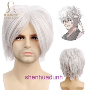 Silver Soul Cosplay Sakata Time Wig Cadılar Bayramı Kısa Erkek Gri Sentetik