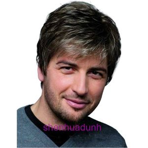 Hot Selling Wig Mens Short High Temperatur Silk Wig Wig