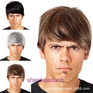 Mens Wig yakışıklı kısa saç düz kahverengi gri sentetik lif kapağı