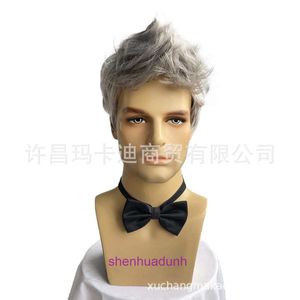 Wig Mens Fashion Short Hair Short Grey Grey Daily Street Photo Cascomb Testa