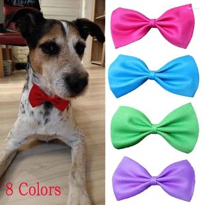 Dog Apparel Dostawy Pet Cat Bow Towt Regulowany kołnierz Puppy Naszyjnik Akcesoria