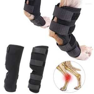 Dog Apparel High Quality Pet Supplies Knee Pads Breathable Post-operative Recovery Strap Leg Brace For Protect Joint Accessories