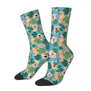 Men's Socks Golden Retrievers Tropical Harajuku High Quality Stockings All Season Long Accessories Man Woman Birthday Present