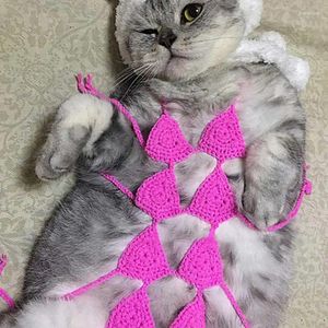 Trajes de gatos POGRAÇÕES APRES DE BRA FONITY E PET REDUSTIME