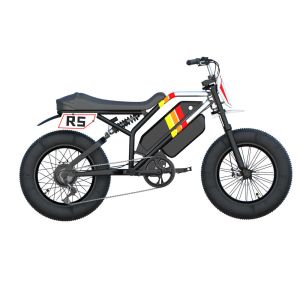 60V 2000 W rower 52 V 1500 W EBIKE dla dorosłych rower elektryczny 1000W Super 20*4,0 cali Snow Fatbike 73 Electric Dirt Bike