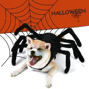 Ställer in Halloween Pet Costume Black Spider Cosplay Costume Halloween Funny Dress Up For Cat Small Lare Dogs Pet Accessories