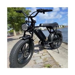 48V 750W 1000W 50 km/h elektrisk cykel eBike i EU US Warehouse.