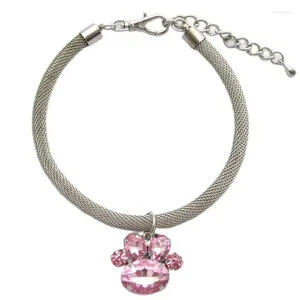 Hundkläder Cat Chains Halsband krage med bling charm husdjur valpsmycken för chihuahua Yorki