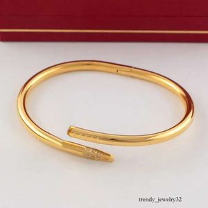 Fashion Nagelarmband Frauen Männer Armreifen Manschette Titanstahlarmband mit Zirkongold plattiert wasserdichte Nägel Armreifen Schmuck beste Geschenk für Frauen Mädchen Armbänder