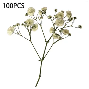 Decorative Flowers 100PCS Bulk Dried Gypsophila For Pressing Craft DIY Materials Bookmarks