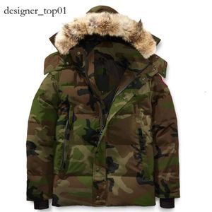 Can Donw Jacket Winter Fourrure Down Parka Homme Jassen Chaquetas Ostrewear Wolf Fur Manteu Luxury Brand Brand Coat Hiver Expeditionary Expedition 3110