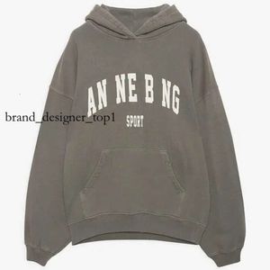 Anines Hot Sale 23SS Women Desginer Anines Binge Sweatshirt Fashion Cotton Hooded New AB Anines Binge Classic Letter Print Wash Water Color Snowflake Hoodies 1482