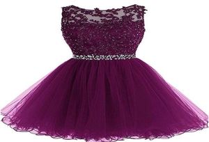 Vestidos elegantes de coluna da tripulação de uma linha de regresso a casa de tule Apliques de tule missed vestidos de baile curtos Mini -saia Uma linha de graduação de festa vestidos de graduação6965439