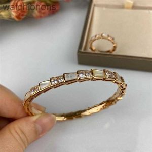 High -Level Original Blarry Designer Armreifen gegen Gold plattiert hochwertige modische personalisierte Schlangenarmband Naturalachit Diamond mit Markenlogo
