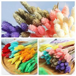 Dried Flowers Props Plant Stems Artificial Uraria Picta Pastoral Style Bunny Tails Rabbit Tail Grass Lagurus Ovatus Dried Flowers Bouquets