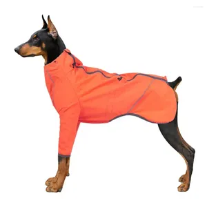 Abbigliamento per cani Abbigliamento vestiti abiti regolabili con cerniera fibbia morbida riflettente comoda giacca da pet a due zampe in poliestere per autunno