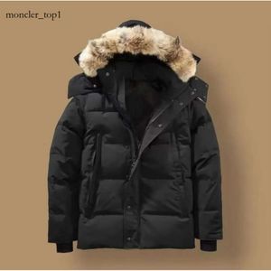 Kan män designer riktig coyote canada puffer jackor päls utomhus wyndham vindbrytare jassen ytterkläder huva fyrrure manteau down jacka kappa hiver parka